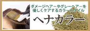 ネクスト野田阪神店ヘナカラー