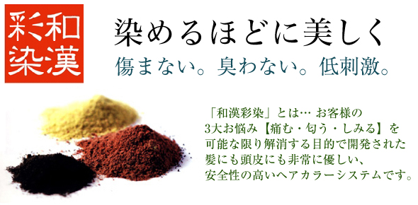 ネクスト野田阪神店　ヘナカラー